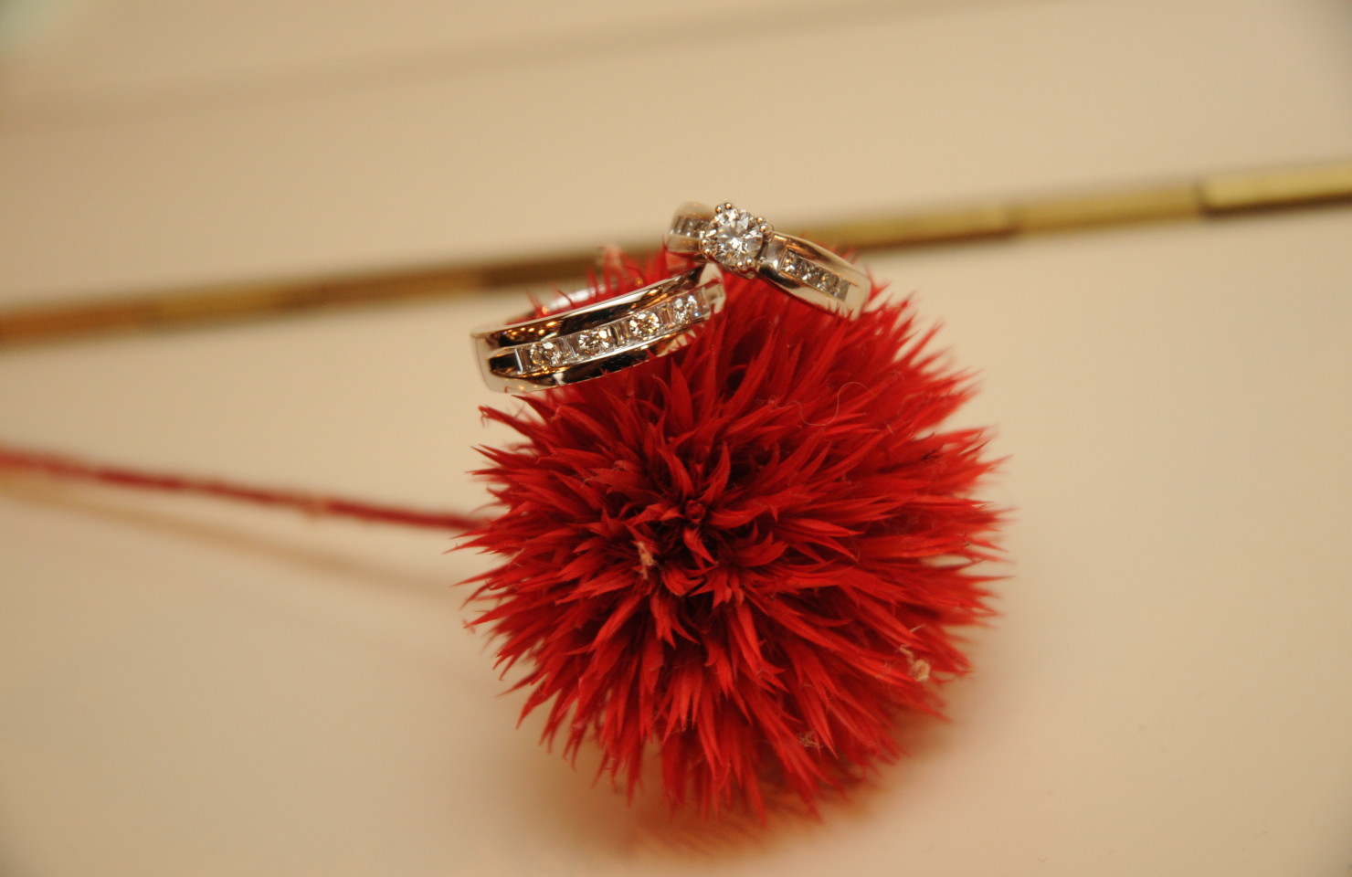 WEDDING GALLERY