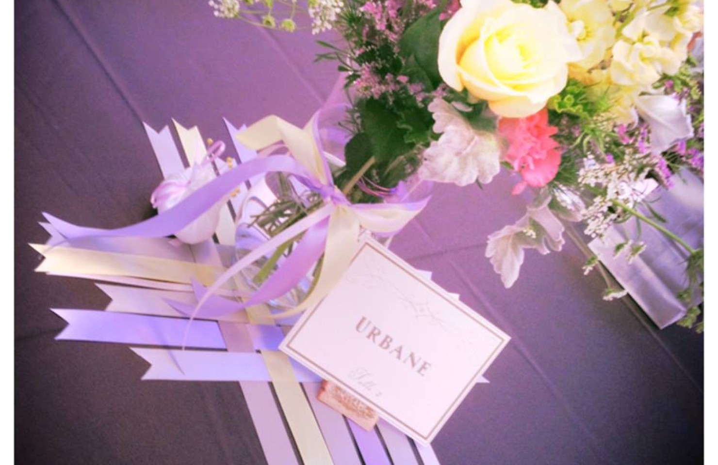 DIY & DESIGN GALLERY