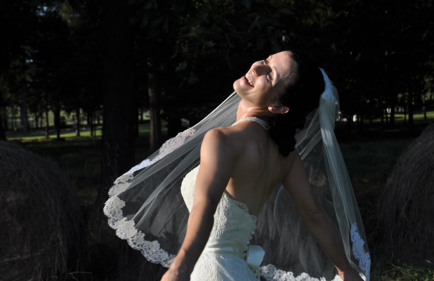 WEDDING GALLERY