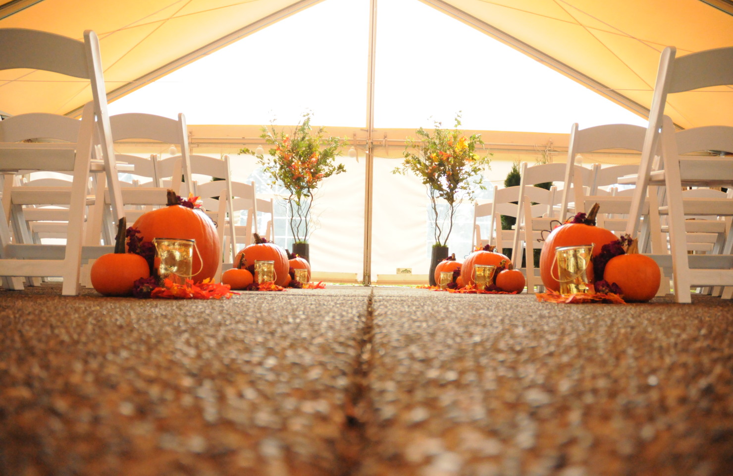 WEDDING GALLERY
