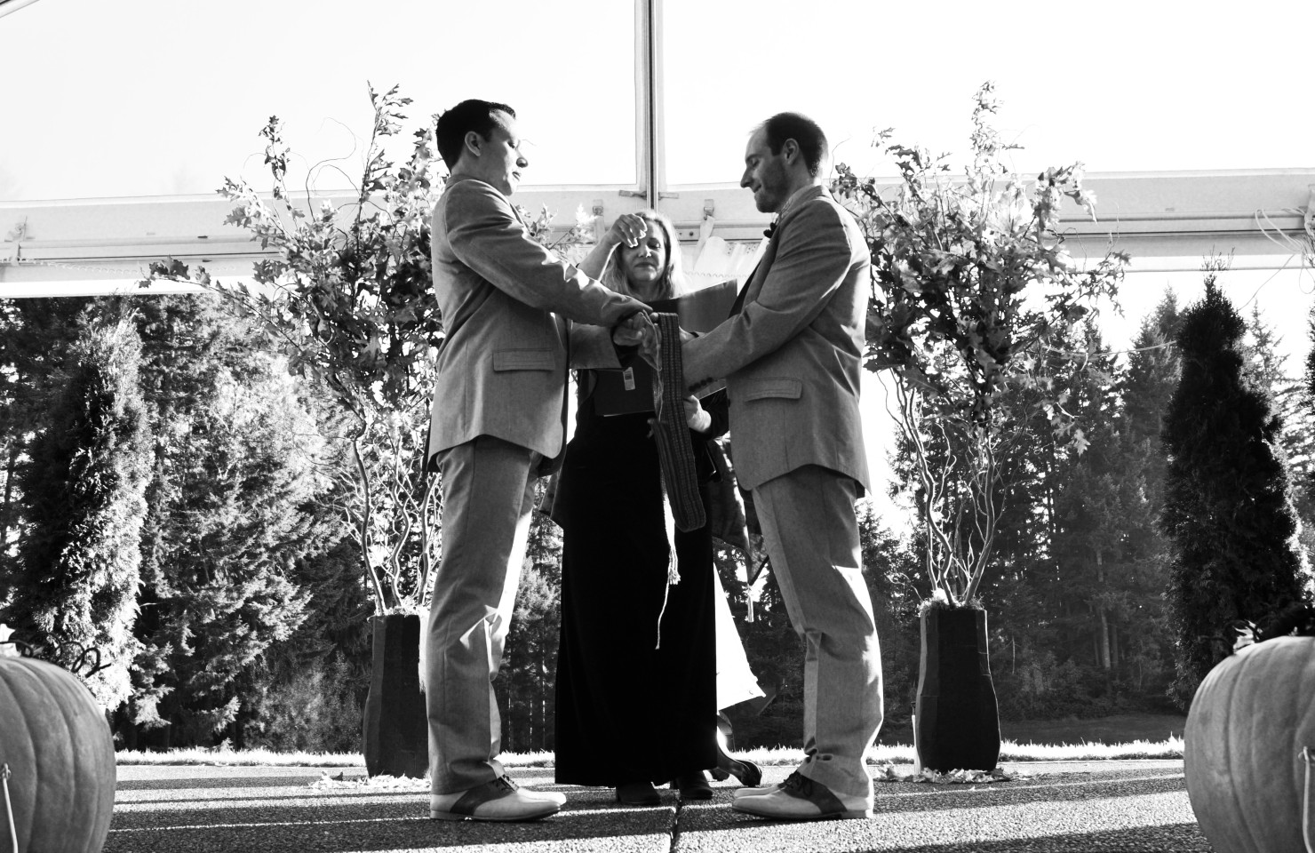 WEDDING GALLERY