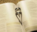 WEDDING GALLERY