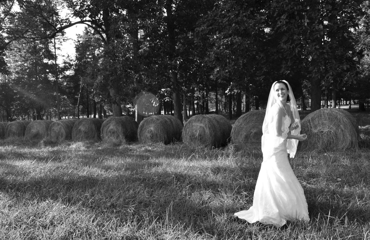 WEDDING GALLERY