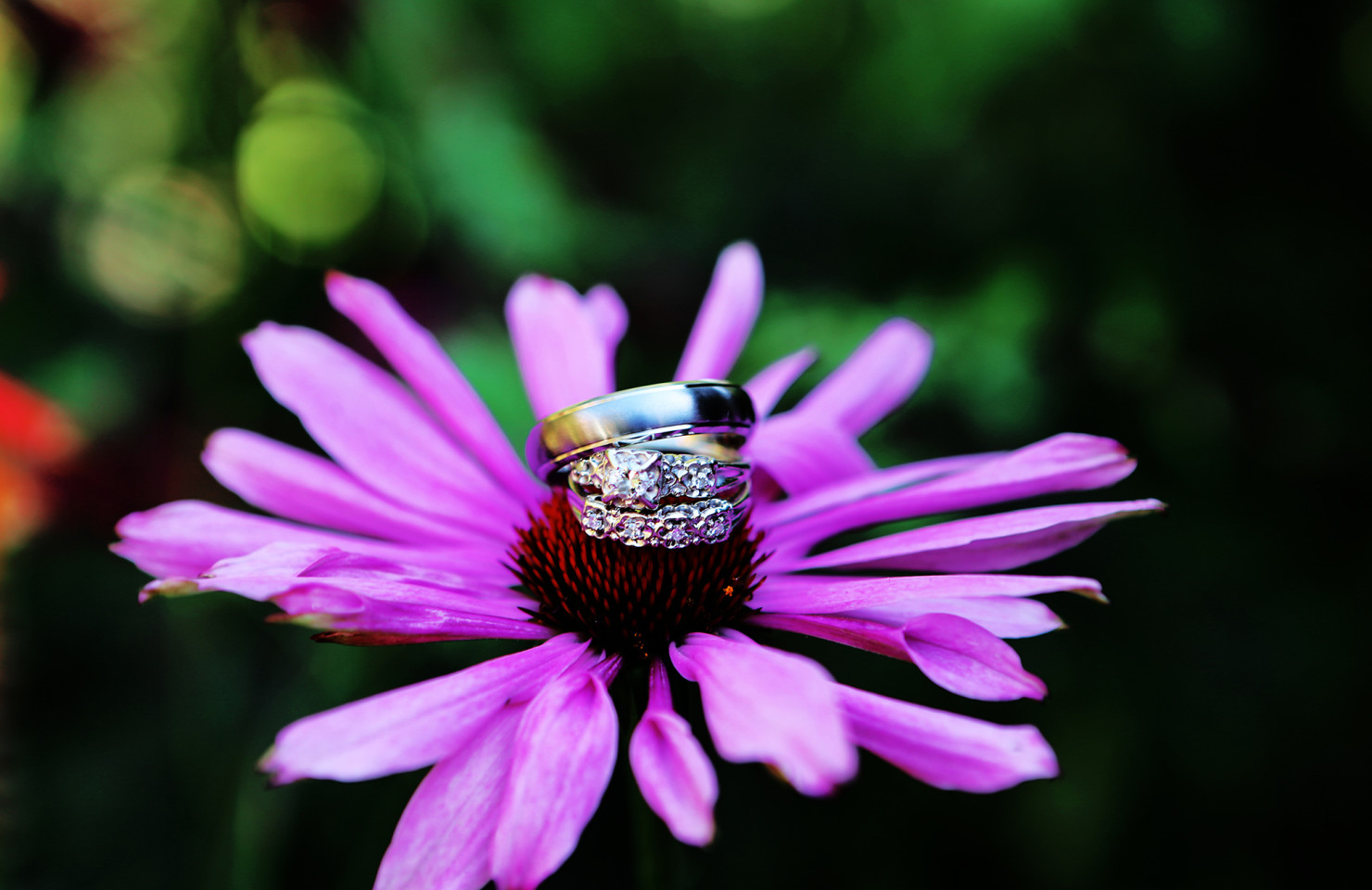 WEDDING GALLERY