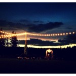 Night at Kelley Farm