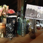 Vintage Camera Centerpiece